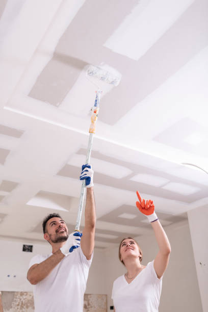 Best Mold Odor Removal Services  in South Jacksonvle, IL