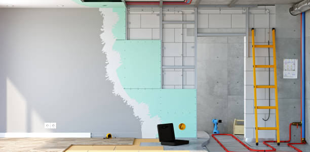 Best Residential Mold Inspection & Testing  in South Jacksonvle, IL