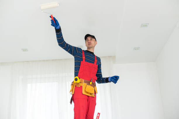 Best Emergency Mold Remediation  in South Jacksonvle, IL