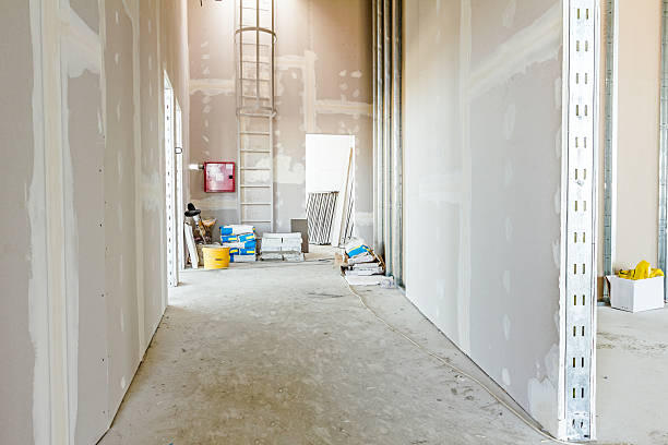 South Jacksonvle, IL Mold Removal Pros