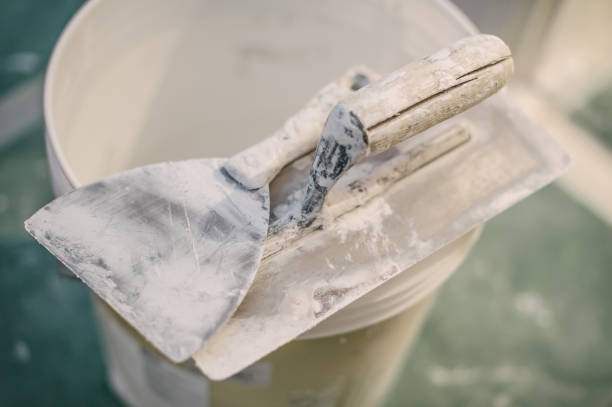 Best Forensic Mold Investigation  in South Jacksonvle, IL